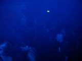 DSC00665