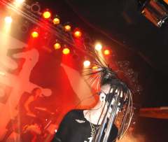 CXS20080717195