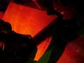 GPP2012So041