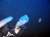 20111111066