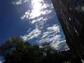 20130520ip5051